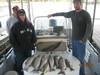 (05/19/2014) - Nice Striped Bass